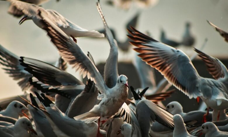 network behavior synchronization analysis