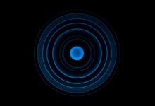 signal flow and dynamics