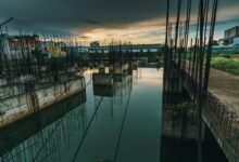 dynamic models progress update