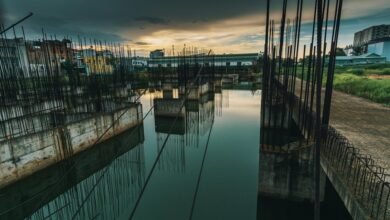 dynamic models progress update