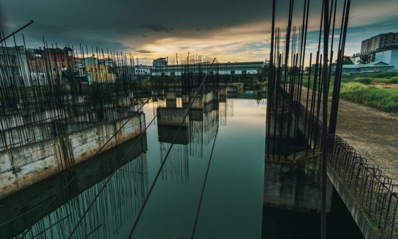 dynamic models progress update