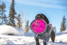 fusion node hyper connectivity