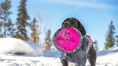 fusion node hyper connectivity